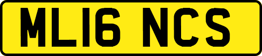 ML16NCS