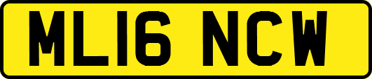 ML16NCW