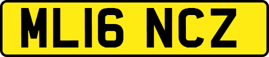 ML16NCZ