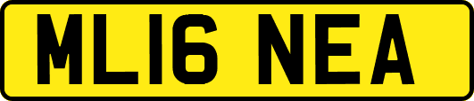 ML16NEA