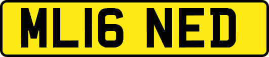 ML16NED