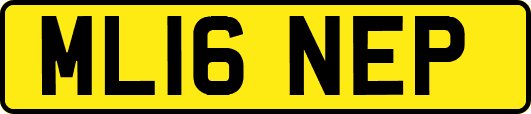 ML16NEP