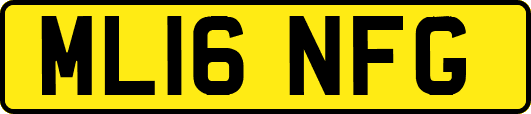 ML16NFG