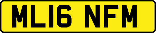 ML16NFM