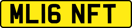 ML16NFT