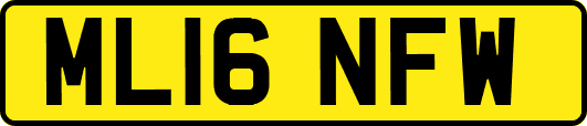 ML16NFW