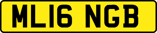 ML16NGB