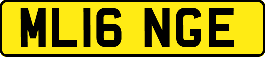 ML16NGE