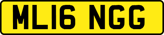 ML16NGG