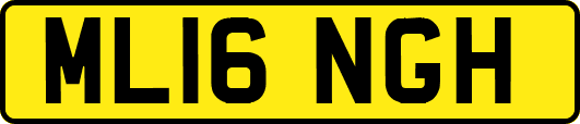 ML16NGH