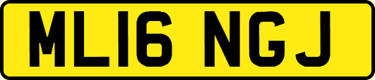 ML16NGJ