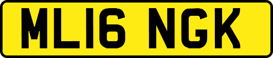 ML16NGK