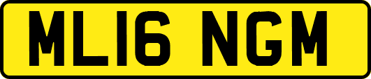 ML16NGM