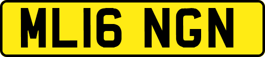 ML16NGN