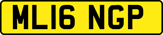 ML16NGP