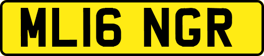 ML16NGR