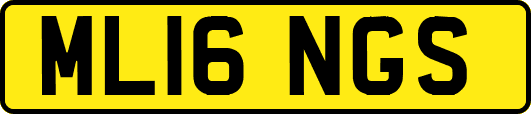 ML16NGS