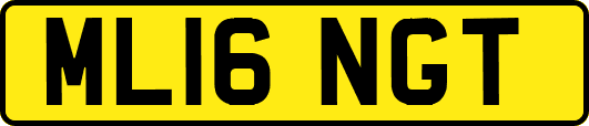 ML16NGT