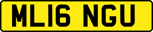 ML16NGU