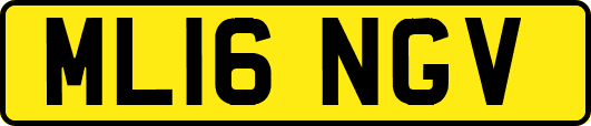 ML16NGV