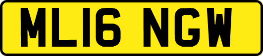 ML16NGW