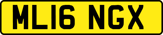 ML16NGX