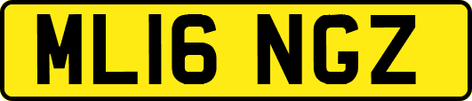 ML16NGZ