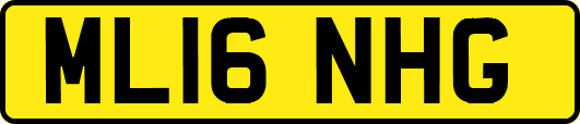 ML16NHG