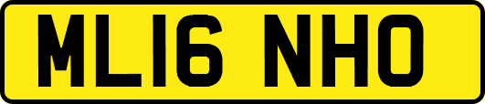 ML16NHO