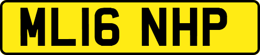 ML16NHP