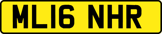 ML16NHR
