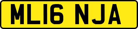 ML16NJA