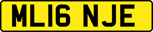 ML16NJE