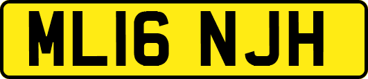 ML16NJH