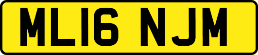 ML16NJM