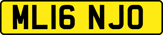 ML16NJO