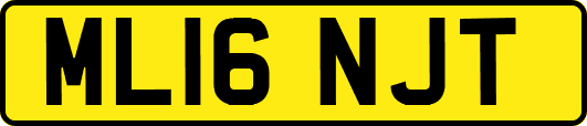 ML16NJT