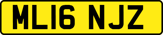 ML16NJZ
