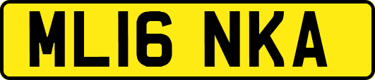 ML16NKA
