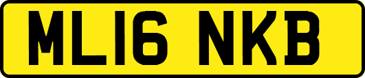 ML16NKB