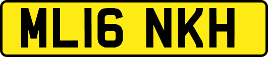 ML16NKH