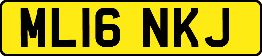 ML16NKJ