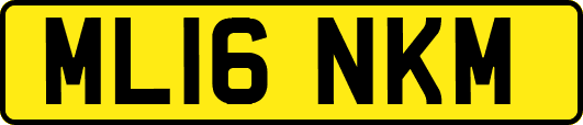 ML16NKM
