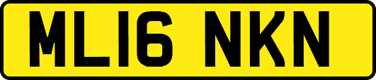 ML16NKN