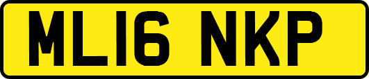 ML16NKP