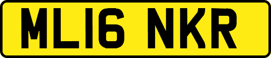 ML16NKR