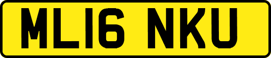 ML16NKU