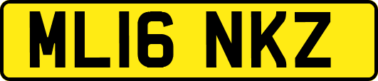 ML16NKZ