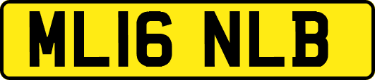 ML16NLB
