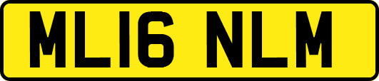 ML16NLM